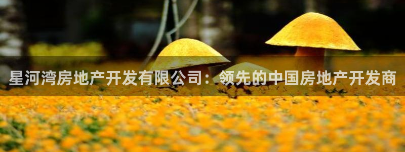 万向娱乐平台好不