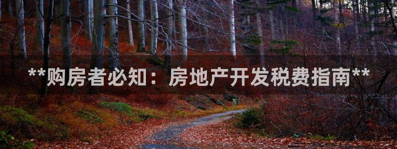 万向娱乐挂机