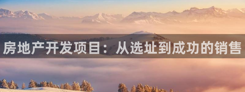 万向娱乐下载安装