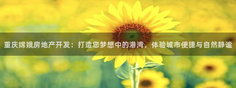 万向娱乐平台代理多少钱一年