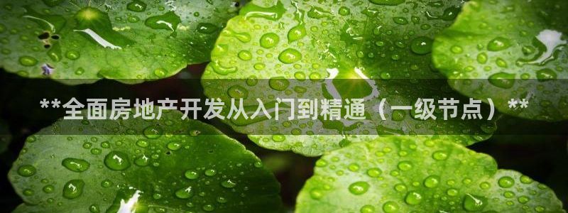 万象国际娱乐网址