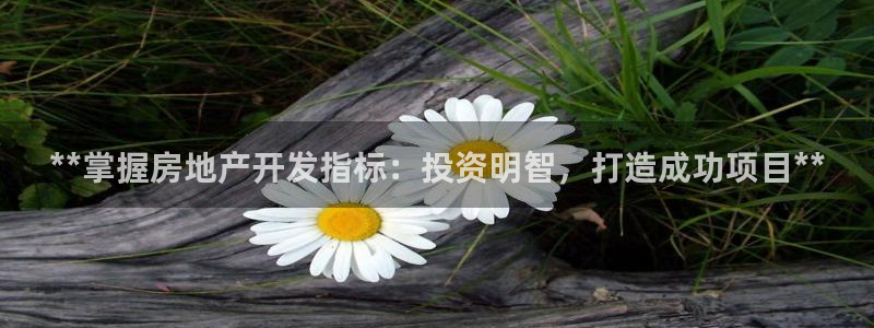 万向娱乐平台代理怎么做赚钱