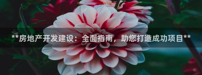 万向娱乐官网网址是什么