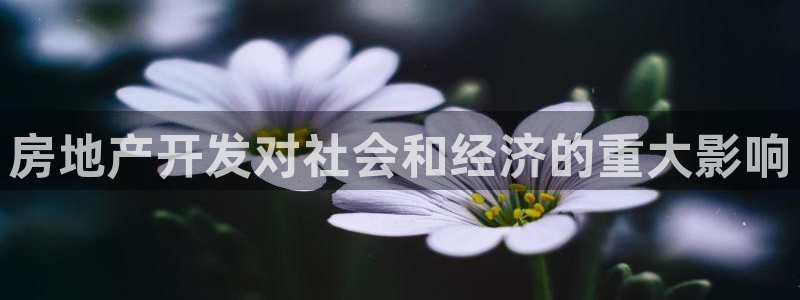 万象国际娱乐网址
