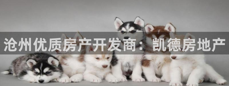 万向娱乐技术