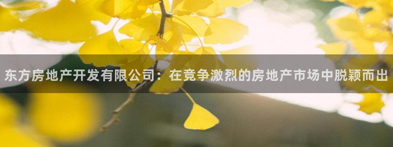万向娱乐公司官网