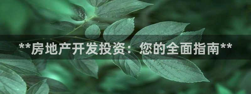 万向娱乐官网下载安装最新版