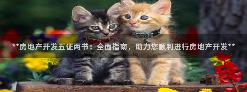 万向娱乐官网下载