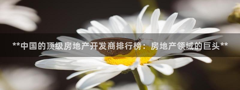 万向娱乐登陆官网