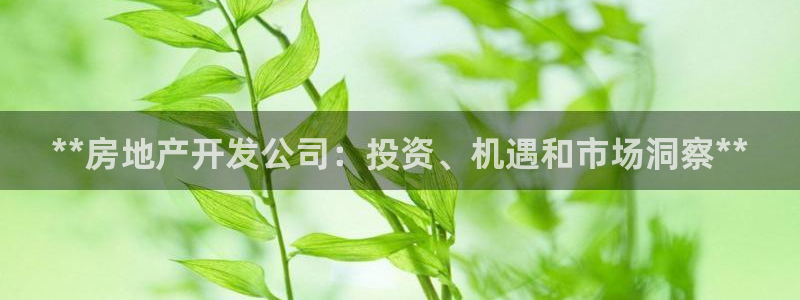万向娱乐平台代理多少钱一个月