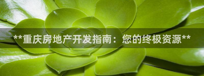 万向娱乐app