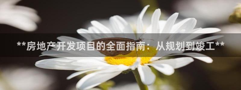 万向娱乐灯333OO