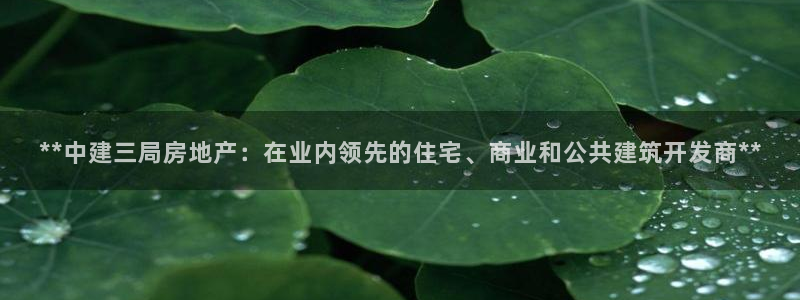 万向娱乐登陆官网入口