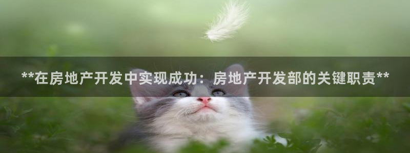 万向娱乐平台代理怎么做