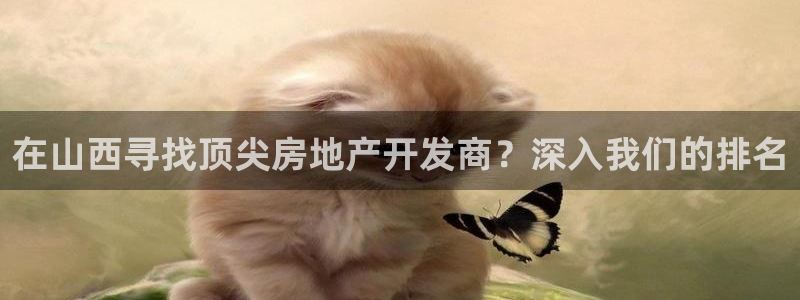 万向娱乐王者荣耀