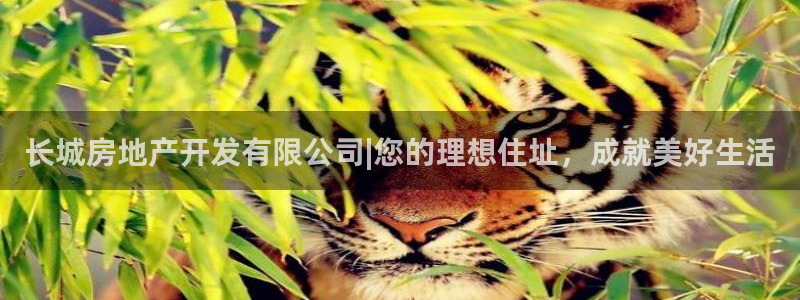 万向娱乐平台代理