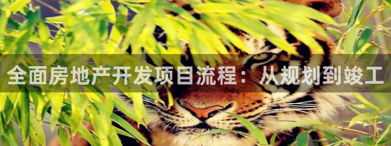 万向娱乐官网下载安装