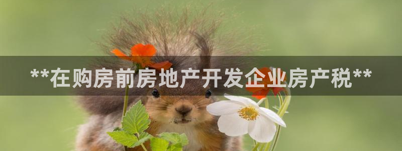 万向娱乐平台代理怎么样啊