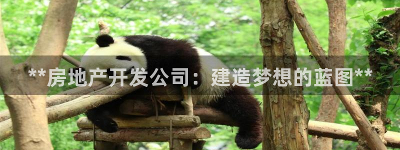 万向娱乐挂机