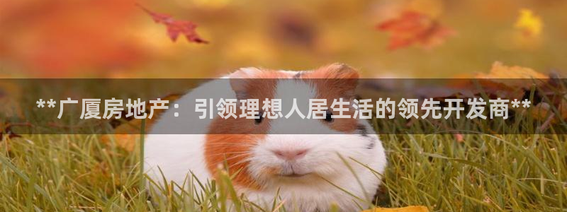 万向娱乐的494o3 主管