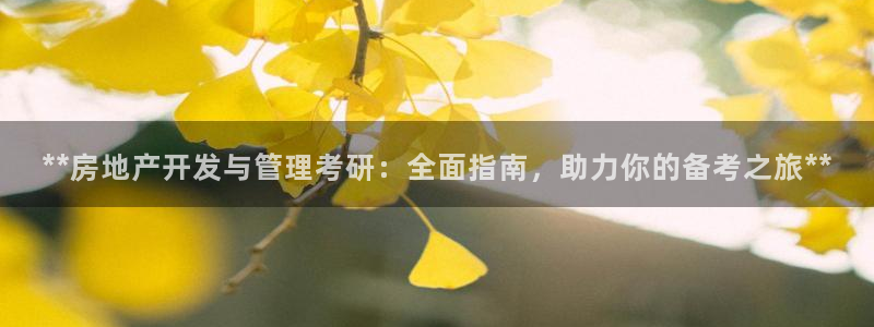 万向娱乐挂机