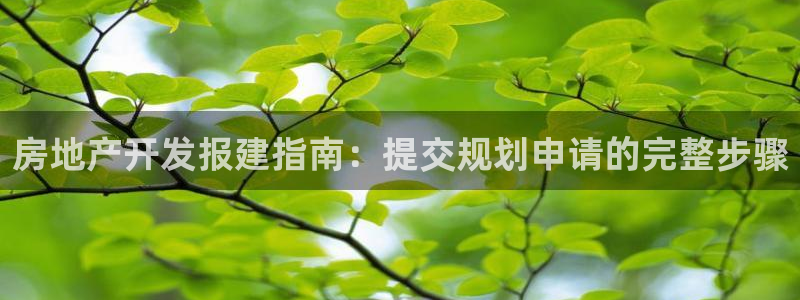 万向娱乐平台代理怎么样啊