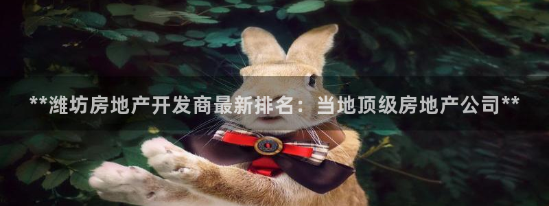 万向娱乐平台代理怎么样啊