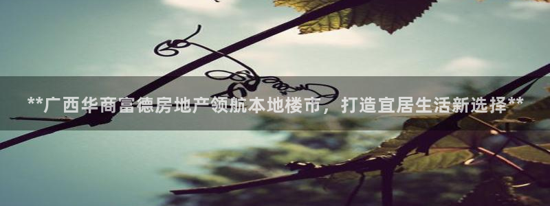 万向娱乐官网下载安装手机版