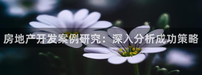 万向娱乐注册登录不了