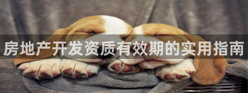 万向娱乐总代