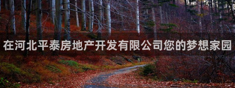 万向娱乐官网网址