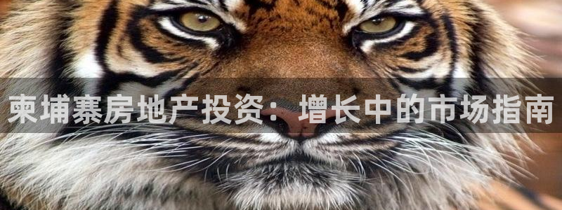 万向娱乐app下载官网