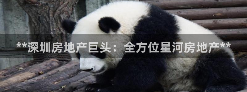 万向娱乐技术