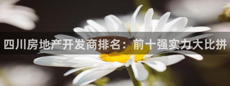 万向娱乐官网网址是多少