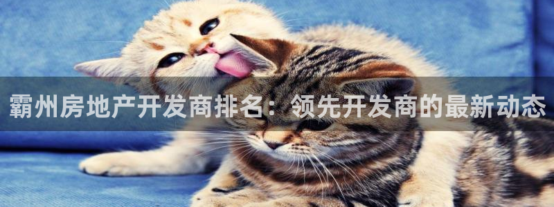 万向娱乐挂机软件