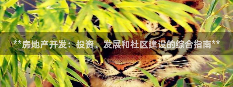 万向娱乐平台代理多少钱一个月
