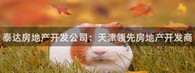 万向娱乐怎么样