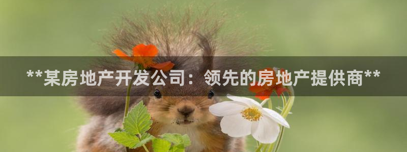 万向娱乐平台代理多少钱一个
