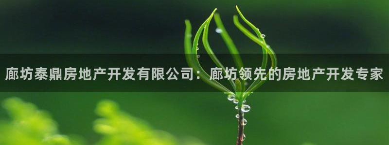 万向娱乐app