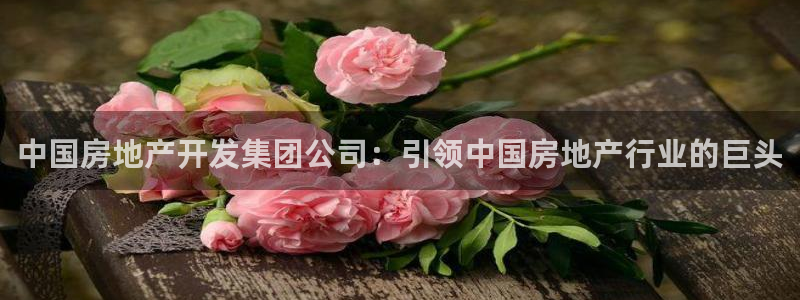 万向娱乐平台代理怎么做赚钱