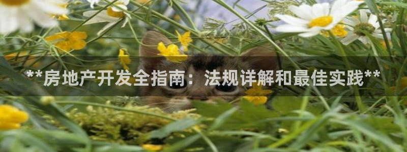 万向娱乐官网下载