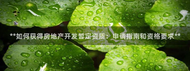 万向娱乐王者荣耀