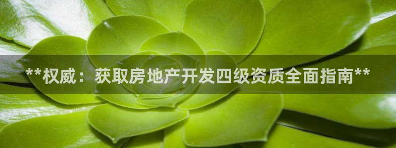 万向娱乐挂机