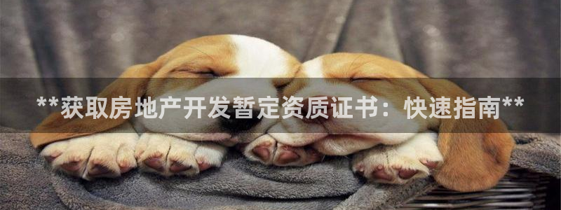 万向娱乐平台代理怎么做