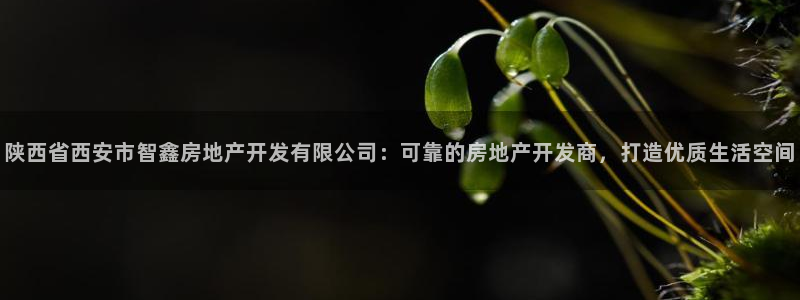 万向娱乐注册登录开户
