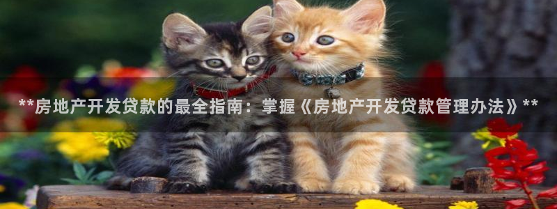 万向娱乐官网网址是什么