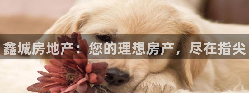 万向娱乐平台代理多少钱