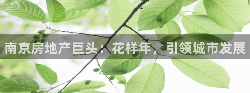 万向娱乐app下载安装