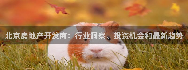 万向娱乐的注册登录