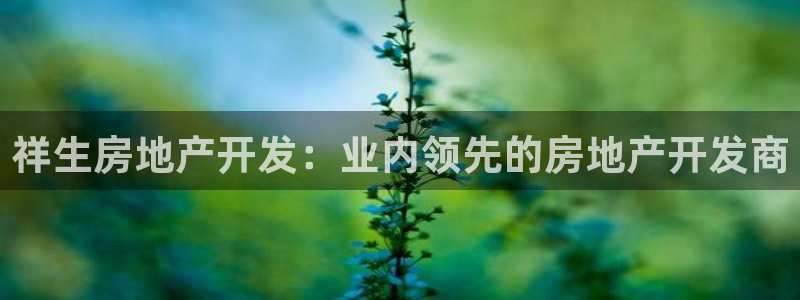 万向娱乐平台代理多少钱一个